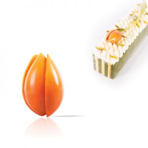 Chocolade Tulp (oranje)