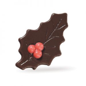 Chocolade Hulst met Bes (puur) 